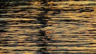 golden ripples on the water at dusk