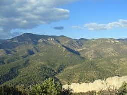 landscape of green summer mountains