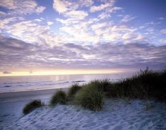 White sand coast during sunset