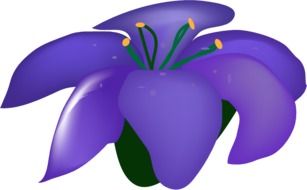 Picture of violet bloom