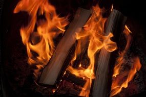 burning logs in the fire