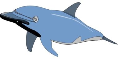 Drawing of the blue and grey dolphin at white background