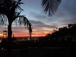 Beautiful landscape with the dusk on the tropic palm trees and city