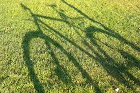 shadow of a bike on lawn