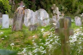 graveyard with headstone summer scenery