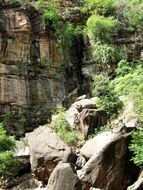 cliff nature rock wall jungle