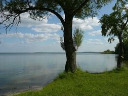 summer on the lake