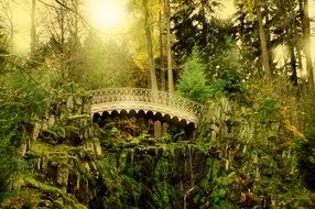 bridge in the fairy forest