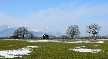 winter landscape with trees in Chiemgau