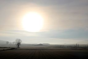 foggy morning over arable field