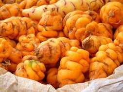 Yellow Peruvian potatoes