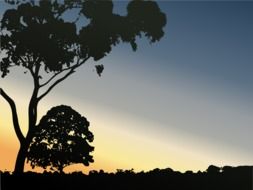 very beautiful trees landscape