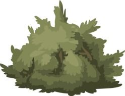 painted lush shrub