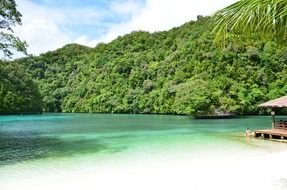 tropical palau beach