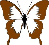 painted brown butterfly