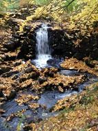small waterfall among the golden autumn