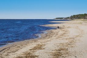 man near the water on a deserted beach