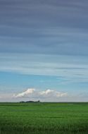 green field under blue sky, canada, saskatchewan