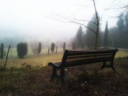 bench in a foggy park