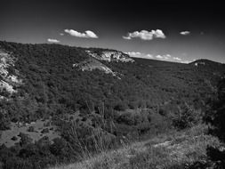 Black and white landscape of crimea