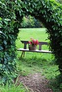 bench through a green arched passage