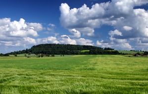 green fields in Sweden