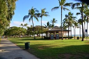 beach house hawaii honolulu