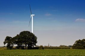 wind turbine on a field on a sunny day