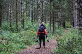 Woman tourist on a forest path