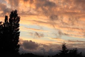 black trees silhouettes at colorful sky