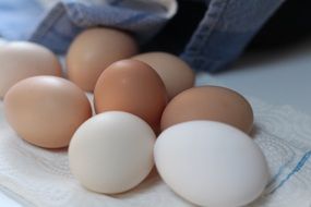Brown and white chicken fresh eggs