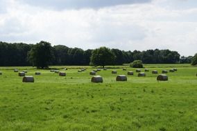 bales of straw on a rural field in Edemissen
