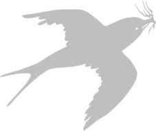 grey flying swallow, illustration at white background