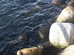 stones at water