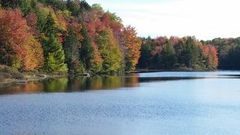 quiet lake at the autumn forest
