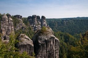 Rock wall in Saxon Switzerland