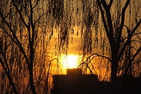 golden twilight over Warsaw