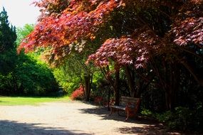 park bench on the background of the autumn landscape on a sunny day