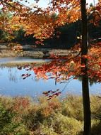 wonderful acadia national park