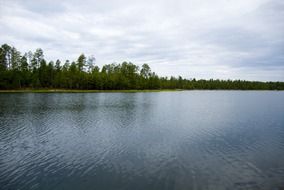 lake surface with forest at skyline