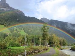 rainbow over green trees after rain