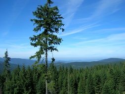 wonderful mountain panorama