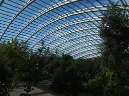 Big greenhouse