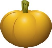Autumn crop of big yellow pumpkin