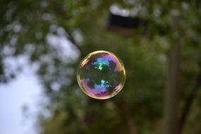 colorful soap bubble in the air