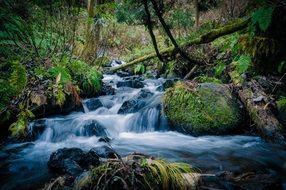 Landscape of the waterfall in a forest