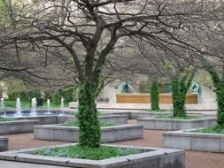 fountain park chicago