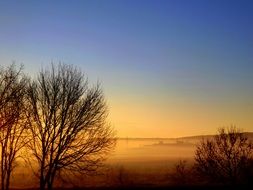 sunset on the background of autumn trees