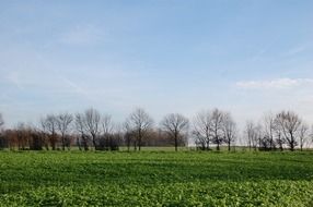 glaring nature landscape