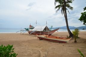 boat on the beach near the mangrove jungle